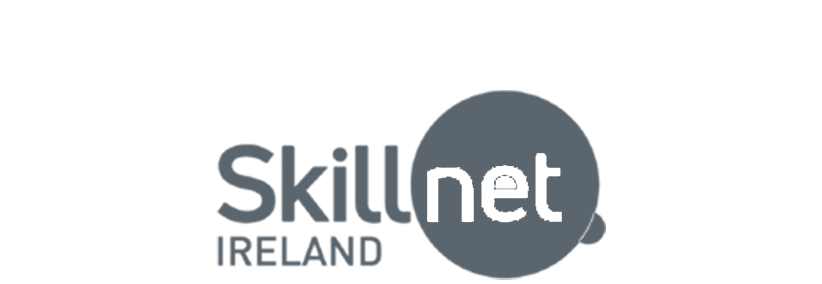 Skillnet Ireland 